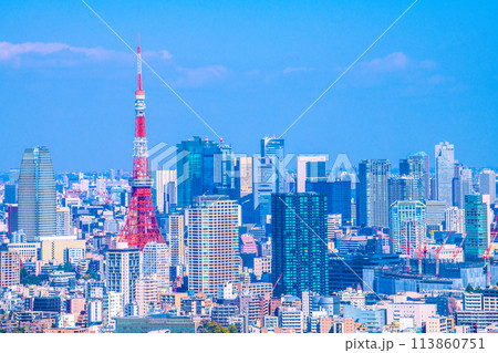 日本の東京都市景観 汐留のオフィスビル群や東京タワーなどを望む 日本の東京都市景観 汐留のオフィスビル群や東京タワーなどを望む 113860751