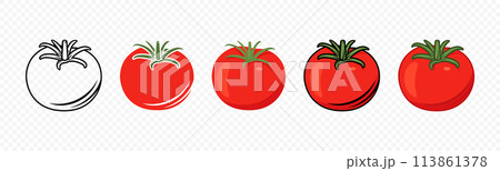 Flat Vector Fresh Tomato Icon Set Isolated. Whole Tomato Design Template. Organic Tomato, Front View Flat Vector Fresh Tomato Icon Set Isolated. Whole Tomato Design Template. Organic Tomato, Front View 113861378