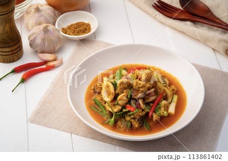 Stir Fried Squid with Curry Powder in white plate ,(pla muk pad pong karee),Thai Food. Stir Fried Squid with Curry Powder in white plate ,(pla muk pad pong karee),Thai Food. 113861402