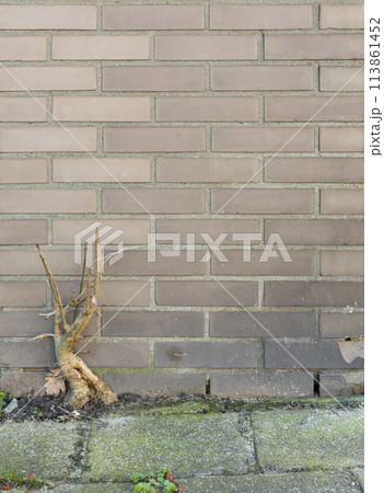 Grey brick wall texture background 113861452