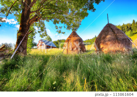 Amazing countryside landscape of romanian village Rogojel with forested hills and haystacks on a grassy rural field in mountains Amazing countryside landscape of romanian village Rogojel with forested hills and haystacks on a grassy rural field in mountains 113861604