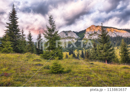 Amazing view of Pietrele Albe mountaine peak at summer time. 113861637