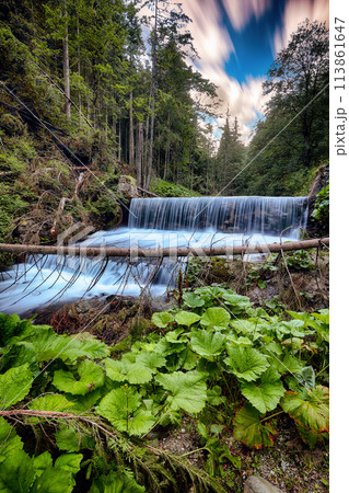 Amazing view of cascede near Bride's Veil / Valul Miresei Waterfall. Amazing view of cascede near Bride's Veil / Valul Miresei Waterfall. 113861647