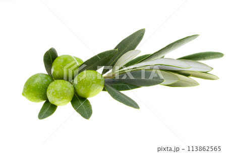 sprig with green olives isolated 113862565