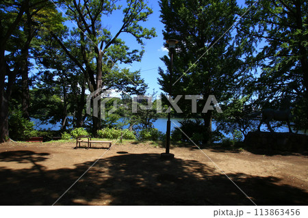洗足池公園 113863456