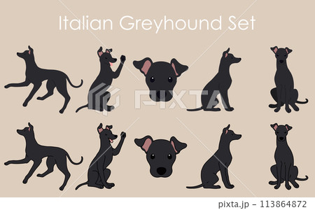 シンプルで可愛い黒いイタリアングレーハウンドのイラストセット 113864872