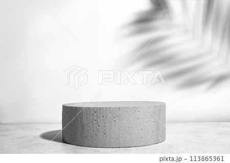 Concrete podium and palm leaf shadow 113865361