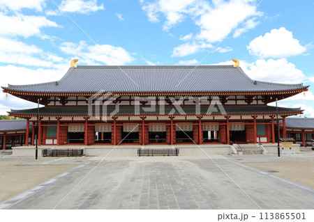 薬師寺 薬師寺 113865501