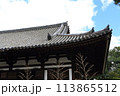薬師寺 113865512