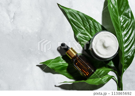 Cosmetic products and green leaves 113865692