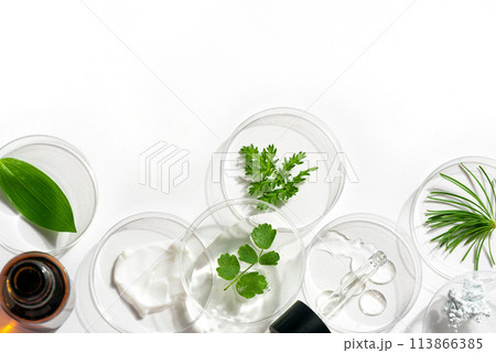 Petri dishes, cosmetic gel and plants 113866385