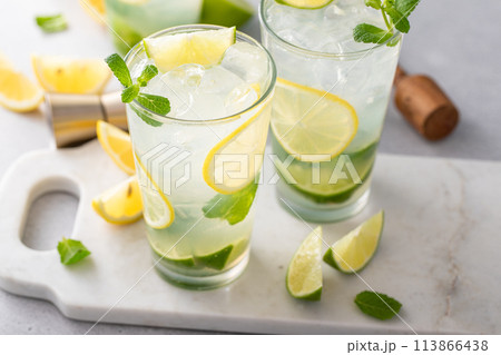 Lemon and lime mojito cocktail in tall glasses with lime and mint Lemon and lime mojito cocktail in tall glasses with lime and mint 113866438