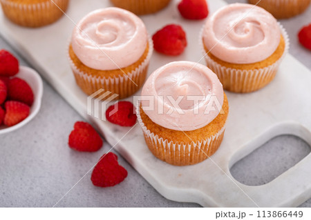 Raspberry cupcakes with swirled raspberry frosting Raspberry cupcakes with swirled raspberry frosting 113866449