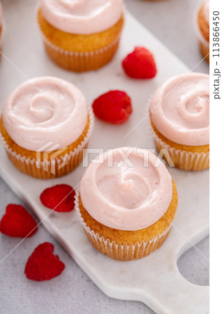 Raspberry cupcakes with swirled raspberry frosting Raspberry cupcakes with swirled raspberry frosting 113866450