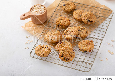 Healthy breakfast cookies with oats and dry cranberry Healthy breakfast cookies with oats and dry cranberry 113866589
