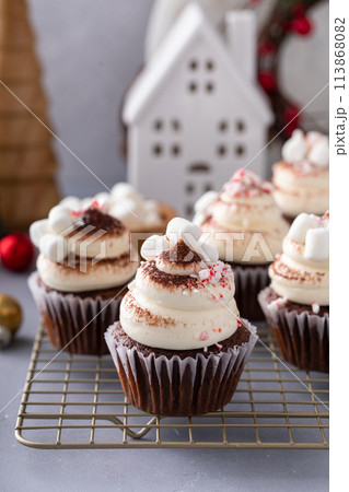 Hot chocolate cupcakes with mini marshmallows, peppermint candy pieces and cocoa Hot chocolate cupcakes with mini marshmallows, peppermint candy pieces and cocoa 113868082