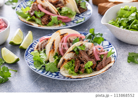 Beef tacos with marinated red onion and cilantro 113868552