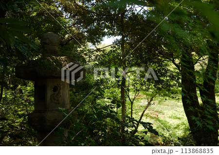 岩の灯篭と、晴れの日の森 113868835