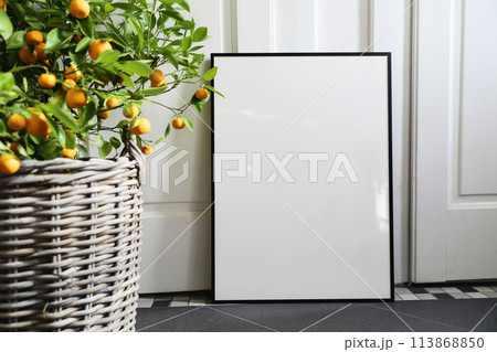 Summer mockup scene. Blurred tangerine, citrus calamondin fruit tree in wicker flower pot. Blank black picture frame on grey tile floor. White wall background in sunlight Mediterranean interior home. Summer mockup scene. Blurred tangerine, citrus calamondin fruit tree in wicker flower pot. Blank black picture frame on grey tile floor. White wall background in sunlight Mediterranean interior home. 113868850
