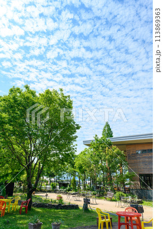 美しい自然光芒を浴びるガーデンテーブルと新緑風景(観光スポット バラ園内風景)(はな阿蘇美)) 美しい自然光芒を浴びるガーデンテーブルと新緑風景(観光スポット バラ園内風景)(はな阿蘇美)) 113869363