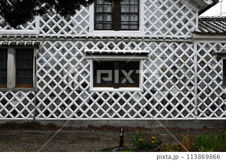 ラミウム・ガレオブドロンの花 113869866