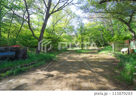 新緑の狭山丘陵内の東大和公園 正面広場 新緑の狭山丘陵内の東大和公園 正面広場 113870283