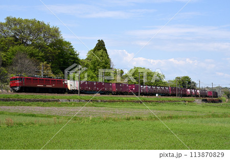 鹿児島本線を行く貨物列車 鹿児島本線を行く貨物列車 113870829