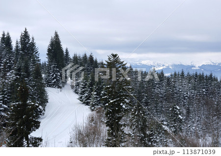 Winter landscape with dark spruse trees of snow covered forest in cold mountains Winter landscape with dark spruse trees of snow covered forest in cold mountains 113871039