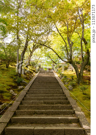 京都、嵐山にある常寂光寺参道の石階段 京都、嵐山にある常寂光寺参道の石階段 113871173