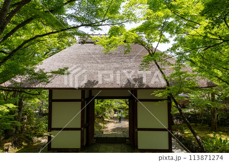 京都嵐山にある常寂光寺の仁王門 京都嵐山にある常寂光寺の仁王門 113871274