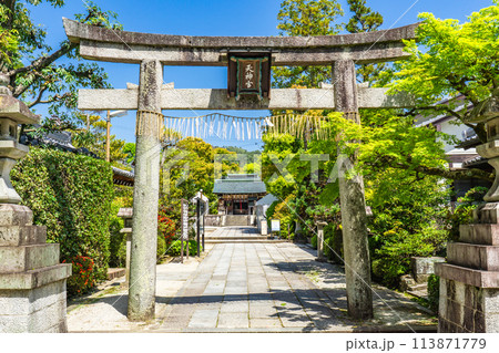 京都市北区のわら天神宮（敷地神社）安産祈願　鳥居 113871779