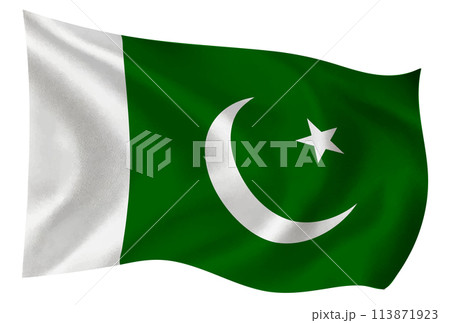 パキスタン　国　旗　世界　アイコン 113871923