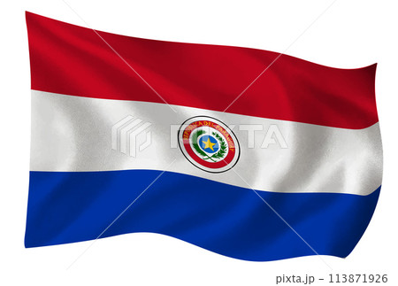 パラグアイ　国　旗　世界　アイコン 113871926