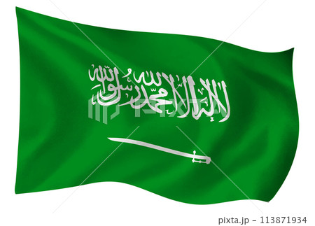 サウジアラビア　国　旗　世界　アイコン 113871934