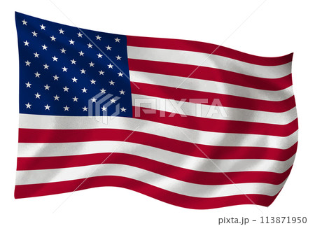 アメリカ　国　旗　世界　アイコン 113871950