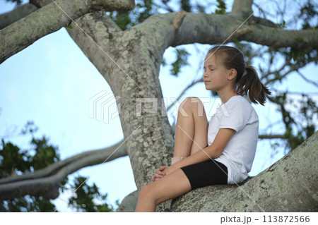 Young pretty child girl sitting relaxed between big branches of old tree on sunny summer day 113872566