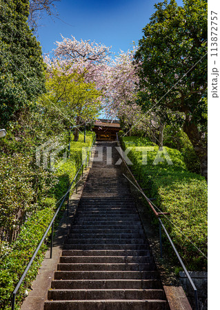 鎌倉の風景　北鎌倉小道 113872757