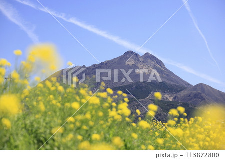 春の湯布院　由布岳 113872800