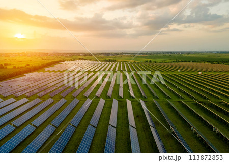 Aerial view of large electrical power plant with many rows of solar photovoltaic panels for producing clean ecological electric energy in morning. Renewable electricity with zero emission concept. Aerial view of large electrical power plant with many rows of solar photovoltaic panels for producing clean ecological electric energy in morning. Renewable electricity with zero emission concept. 113872853