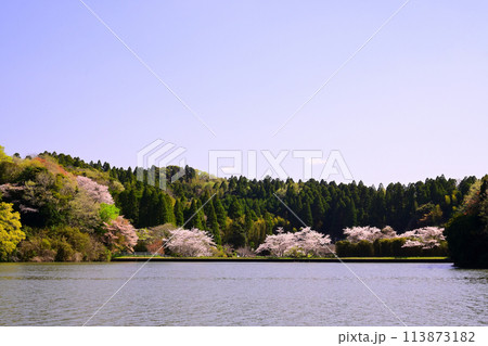 春の雄蛇ヶ池 113873182