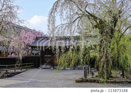 角館樺細工伝承館 角館樺細工伝承館 113873188