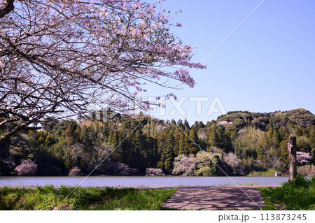 春の雄蛇ヶ池 113873245