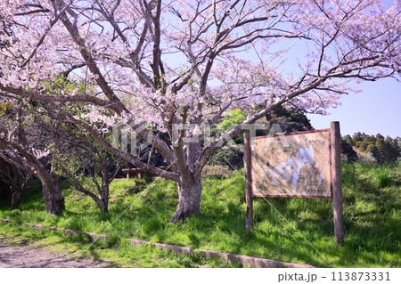 春の雄蛇ヶ池 113873331