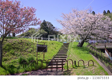 春の雄蛇ヶ池 113873333