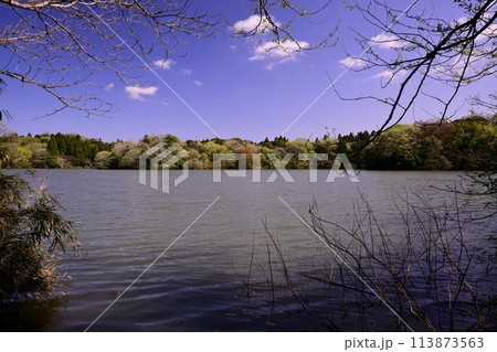 春の雄蛇ヶ池 113873563