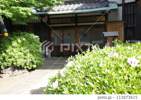 花のある風景 113873615