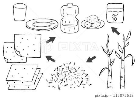 バガス(サトウキビの搾りカス)が紙皿や紙コップやランチボックスの容器になるまでの手描きイラスト 113873618