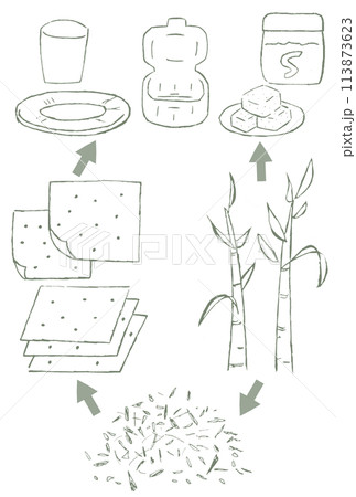 バガス(サトウキビの搾りカス)が紙皿や紙コップやランチボックスの容器になるまでの手描きイラスト 113873623