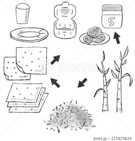 バガス(サトウキビの搾りカス)が紙皿や紙コップやランチボックスの容器になるまでの手描きイラスト バガス(サトウキビの搾りカス)が紙皿や紙コップやランチボックスの容器になるまでの手描きイラスト 113873624