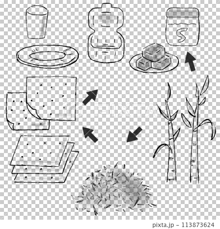 甘蔗渣(壓榨甘蔗)的手繪插圖,直到它成為紙盤、紙杯和午餐盒的容器 甘蔗渣(壓榨甘蔗)的手繪插圖,直到它成為紙盤、紙杯和午餐盒的容器 113873624